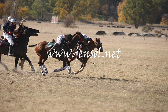BungendorePolocrosse2013_1D_Sat_0051