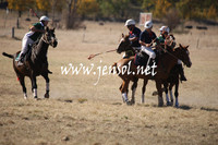 BungendorePolocrosse2013_1D_Sat_0026