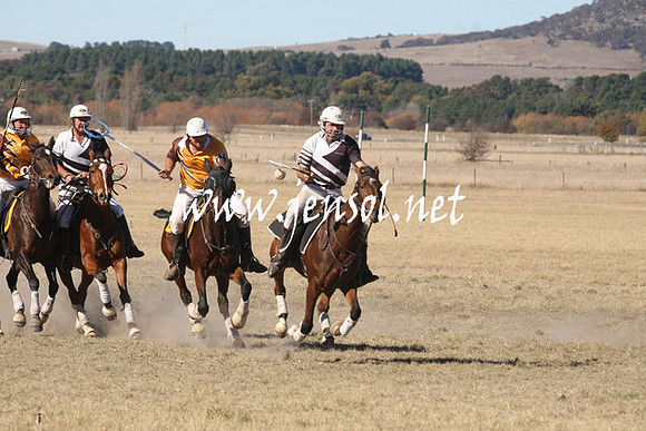 BungendorePolocrosse2013_1D_Sat_0305