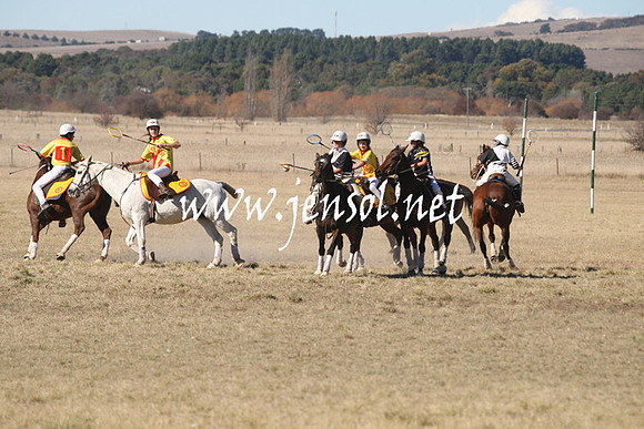 BungendorePolocrosse2013_1D_Sat_0129