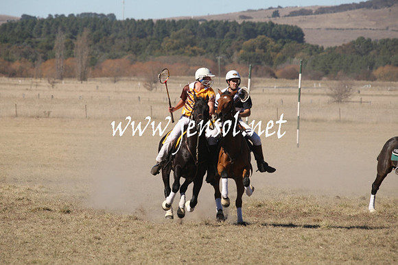 BungendorePolocrosse2013_1D_Sat_0220
