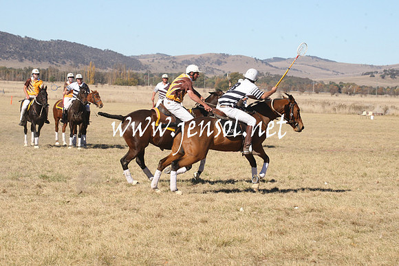 BungendorePolocrosse2013_1D_Sat_0354