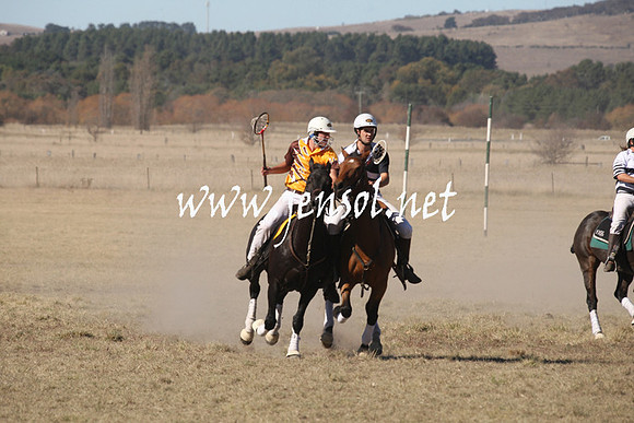 BungendorePolocrosse2013_1D_Sat_0219