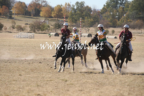 BungendorePolocrosse2013_1D_Sat_0283