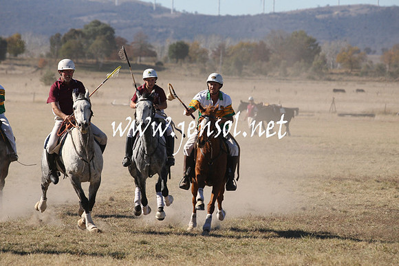 BungendorePolocrosse2013_1D_Sat_0329