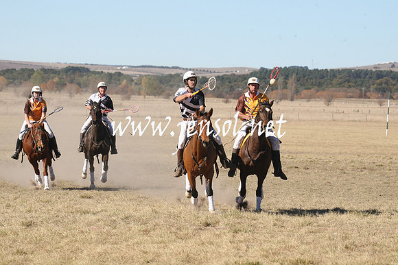 BungendorePolocrosse2013_1D_Sat_0165