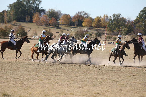 BungendorePolocrosse2013_1D_Sat_0147