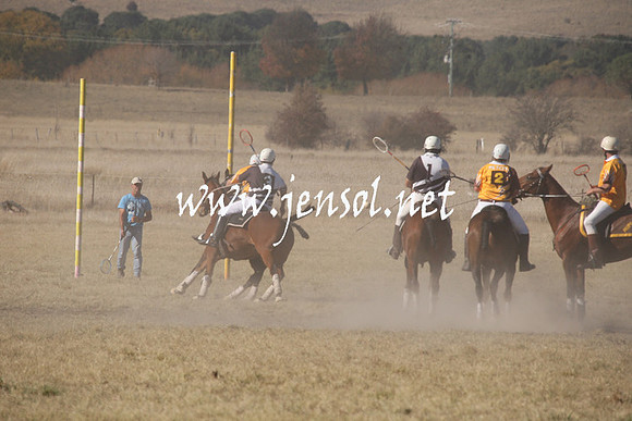 BungendorePolocrosse2013_1D_Sat_0269