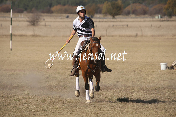 BungendorePolocrosse2013_1D_Sat_0188
