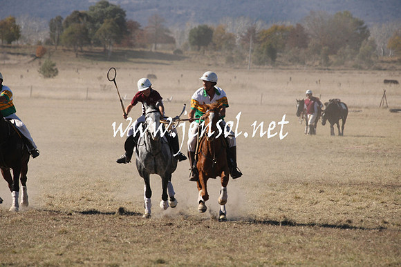 BungendorePolocrosse2013_1D_Sat_0326