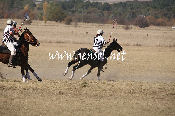 BungendorePolocrosse2013_1D_Sat_0214