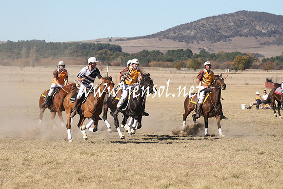 BungendorePolocrosse2013_1D_Sat_0173