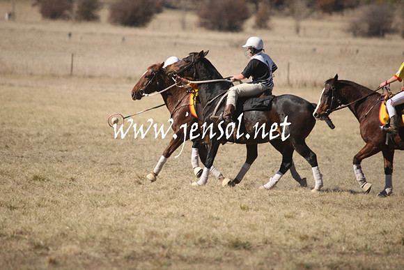 BungendorePolocrosse2013_1D_Sat_0098