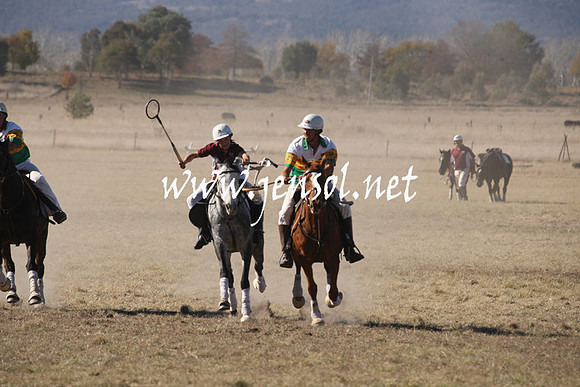BungendorePolocrosse2013_1D_Sat_0325