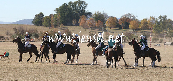 BungendorePolocrosse2013_1D_Sat_0116
