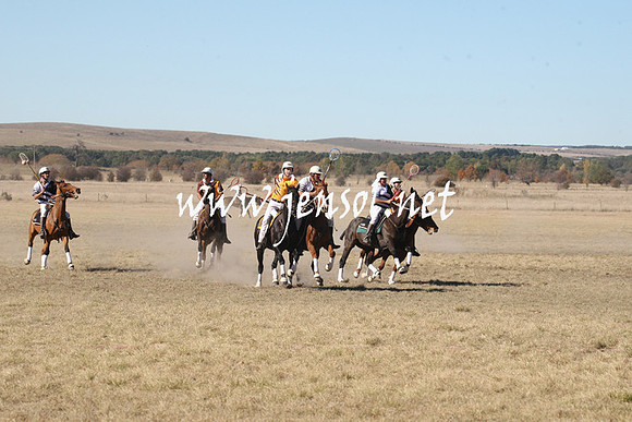BungendorePolocrosse2013_1D_Sat_0202