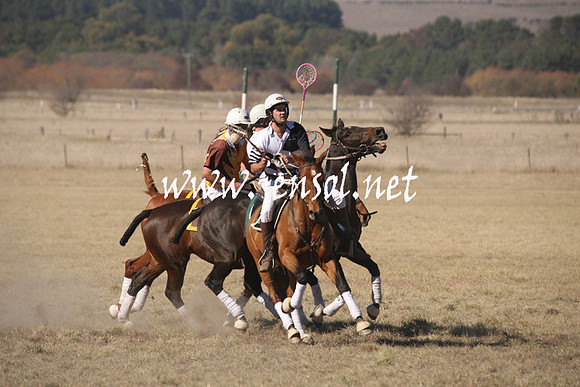 BungendorePolocrosse2013_1D_Sat_0185