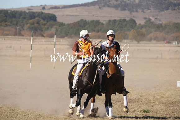 BungendorePolocrosse2013_1D_Sat_0221