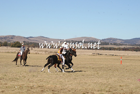 BungendorePolocrosse2013_1D_Sat_0192