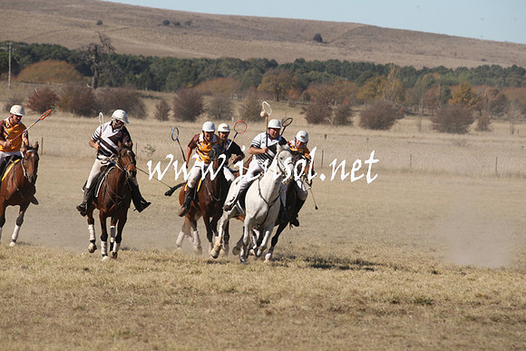 BungendorePolocrosse2013_1D_Sat_0249