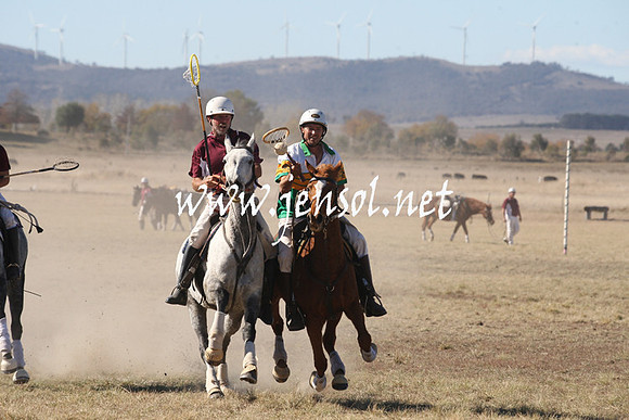 BungendorePolocrosse2013_1D_Sat_0330