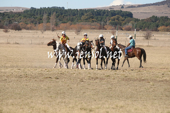 BungendorePolocrosse2013_1D_Sat_0126