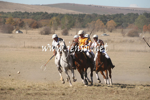 BungendorePolocrosse2013_1D_Sat_0300