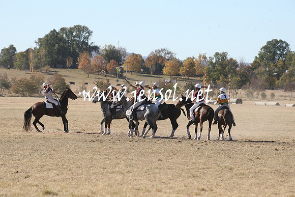 BungendorePolocrosse2013_1D_Sat_0356