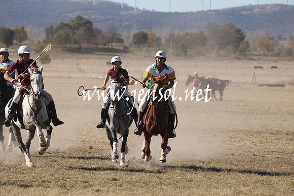 BungendorePolocrosse2013_1D_Sat_0327