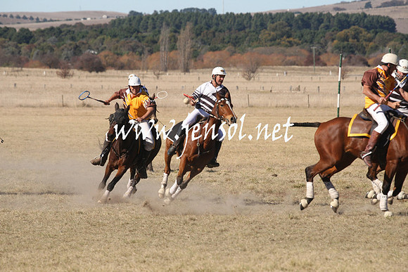 BungendorePolocrosse2013_1D_Sat_0275