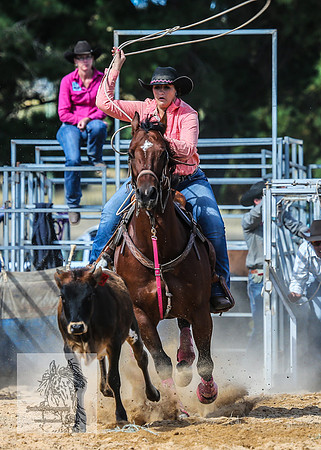 BraidwoodRodeo2015_2944