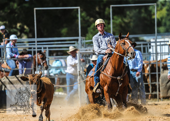 BraidwoodRodeo2015_1826