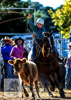 BraidwoodRodeo2015_0226