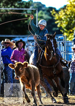 BraidwoodRodeo2015_0226