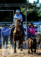 BraidwoodRodeo2015_0217