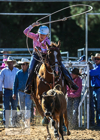 BraidwoodRodeo2015_0232