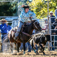 BraidwoodRodeo2015_0115