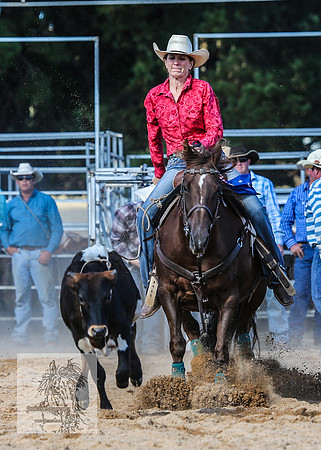 BraidwoodRodeo2015_3626