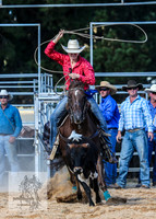 BraidwoodRodeo2015_3611