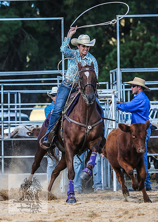 BraidwoodRodeo2015_3597