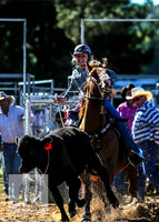 BraidwoodRodeo2015_0202