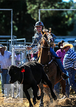 BraidwoodRodeo2015_0202