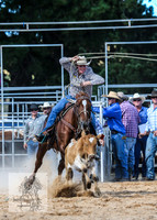 BraidwoodRodeo2015_2926