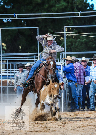 BraidwoodRodeo2015_2926