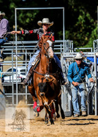 BraidwoodRodeo2015_3642