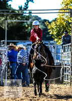 BraidwoodRodeo2015_0268