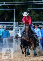 BraidwoodRodeo2015_3620