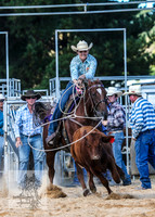 BraidwoodRodeo2015_3601
