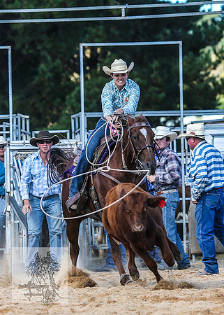 BraidwoodRodeo2015_3601