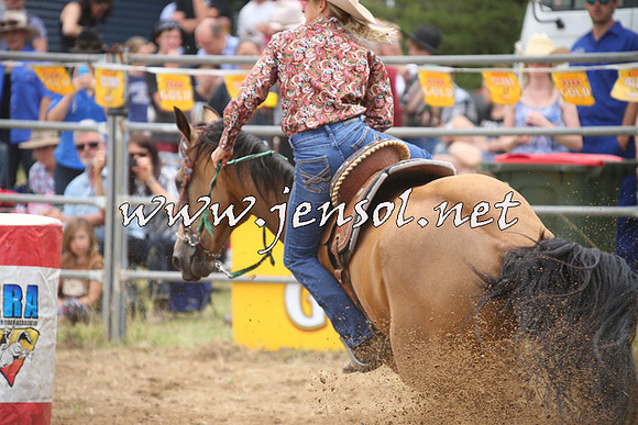 JindabyneRodeo2014_1451